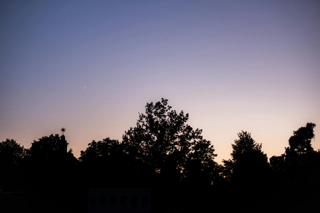 Silhouette of trees beneath a crescent moon, illustrating active and receptive polarity in nature