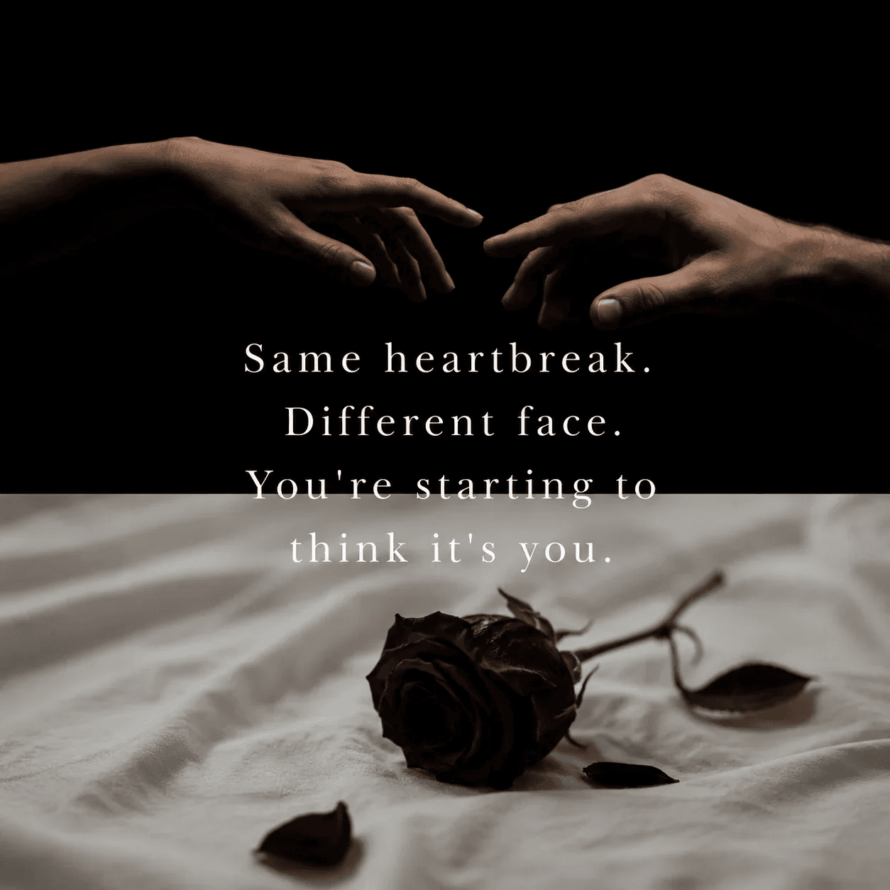 Two hands reaching, wilted rose, emotional text on dark background